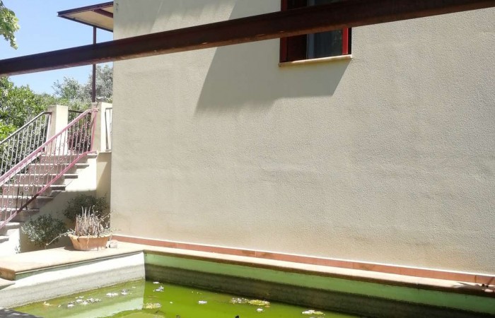 viber_image_2023-03-31_12-28-22-534