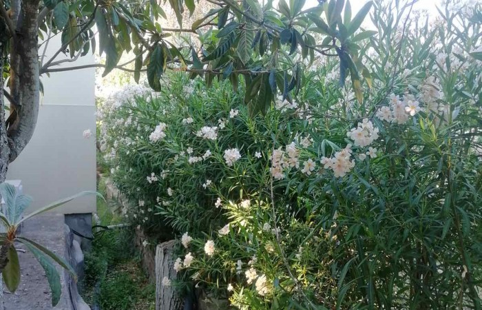 viber_image_2023-03-31_12-28-25-879